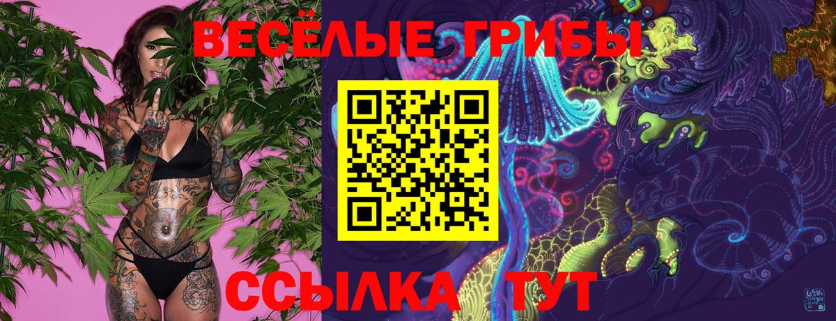 Соликамск  Галлюциногенные грибы GOLDEN TEACHER  Вход с VPN 