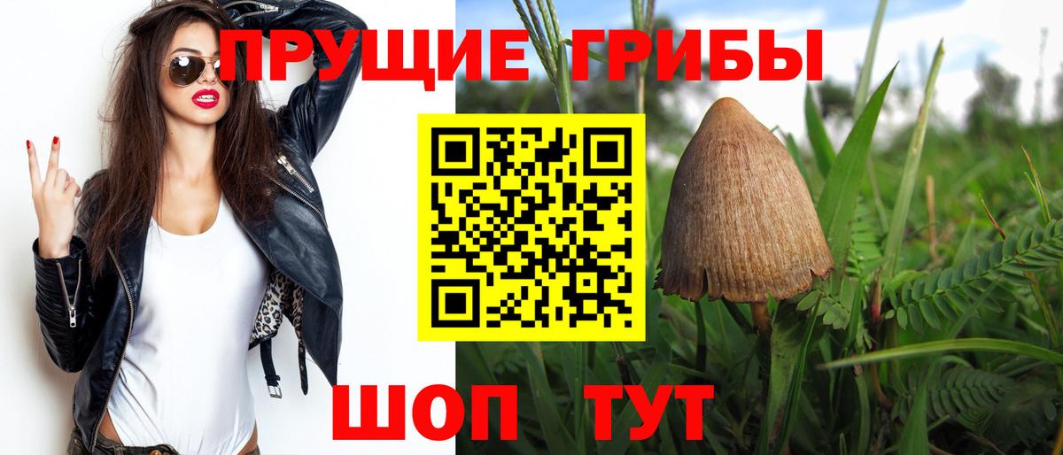Псилоцибиновые грибы GOLDEN TEACHER Соликамск